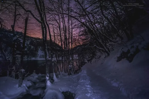 Фотограф показав неймовірні світлини замерзлих водоспадів