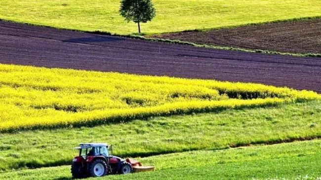 На Волині у фермерів хочуть забрати 18 гектарів землі
