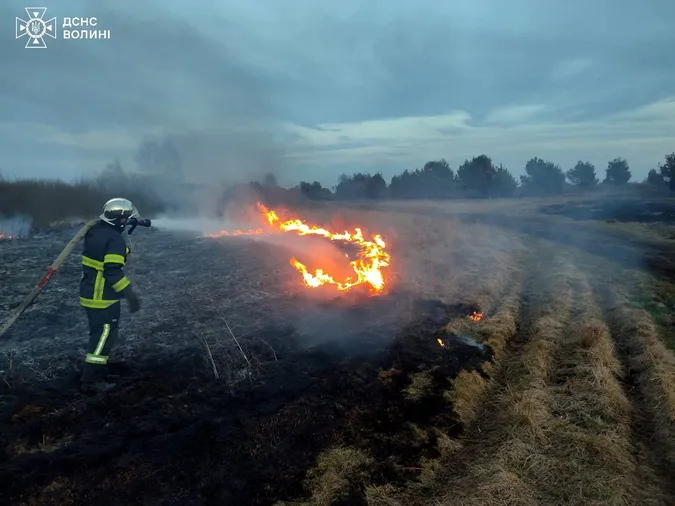 Через спалювання сухостою на Волині горіли три хати-пустки і два дачні будинки (фото)