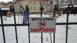 На території луцьких шкіл і дитсадків заборонили вигулювати собак (фото) 