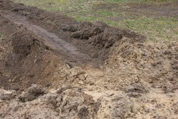 Як на Волині захищають ліси від пожеж (фото)