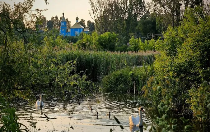 Смарагдова оаза Волині: у мережі опублікували чарівні фото Баївського джерела (фото)