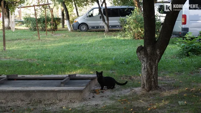 Осінь у Луцьку: ранок на 33-му (фото)