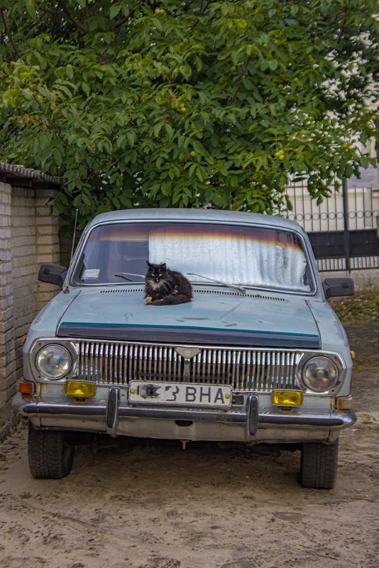 «В міру виважений»: в мережі показали світлини вечірнього Луцька (фото)