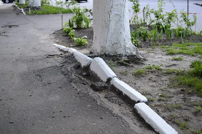На Волині відмовились від «радянського звичаю» - білити бордюри