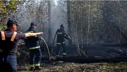 У Луцькому районі майже дві доби гасять масштабну лісову пожежу (фото)