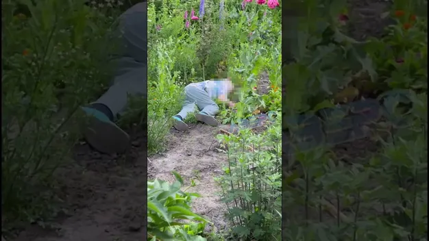 У Луцьку посеред городу знайшли мертву бабусю (відео 18+)