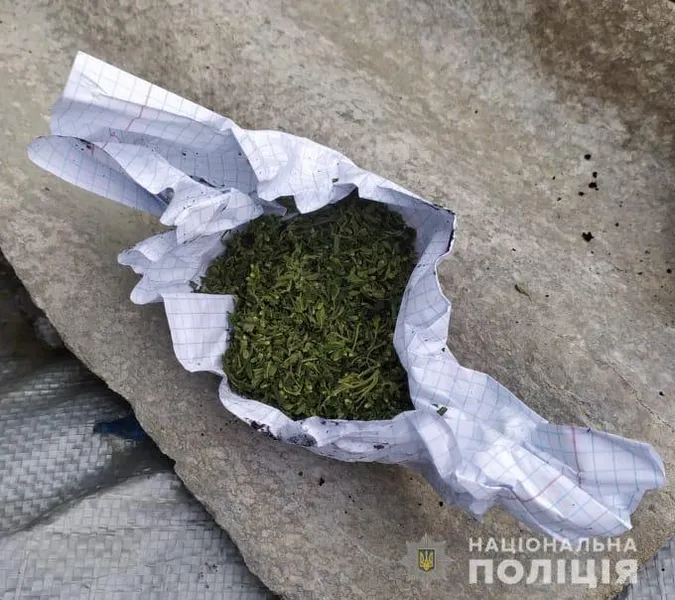 У Підгайцях полісмени впіймали дітей з канабісом та пістолетом (фото)