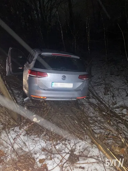 Біля Нововолинську водійка злетіла з дороги та врізалась в хащі (фото)