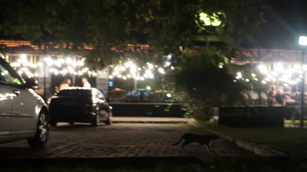 Вечір на Волі. Вечірній проспект на фото