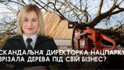 На Світязі активісти здійняли ґвалт через зрізані здорові дерева: що там коїться (фото)