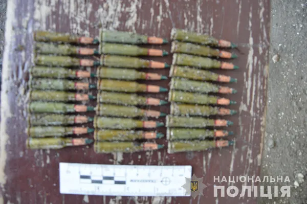 Волинянину «світить» до 7 років тюрми за незаконне зберігання набоїв