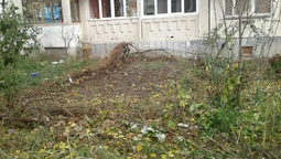 Муніципали зносять паркани у луцьких дворах (фото)