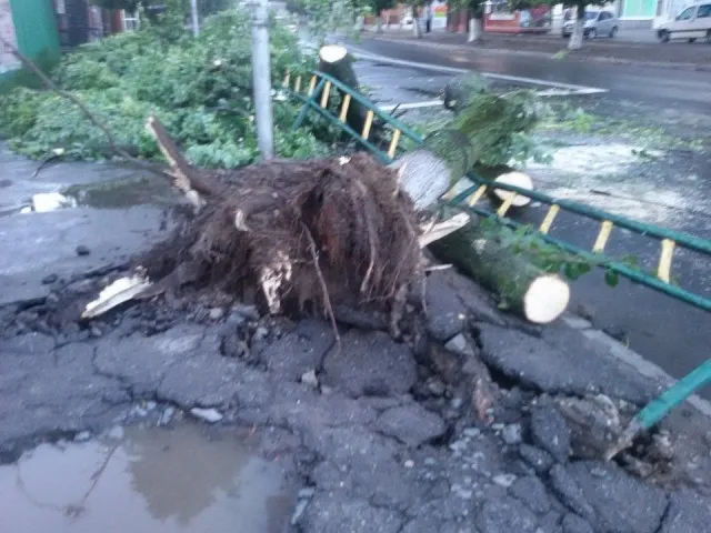 Що наробила негода в Луцьку (фото, відео)