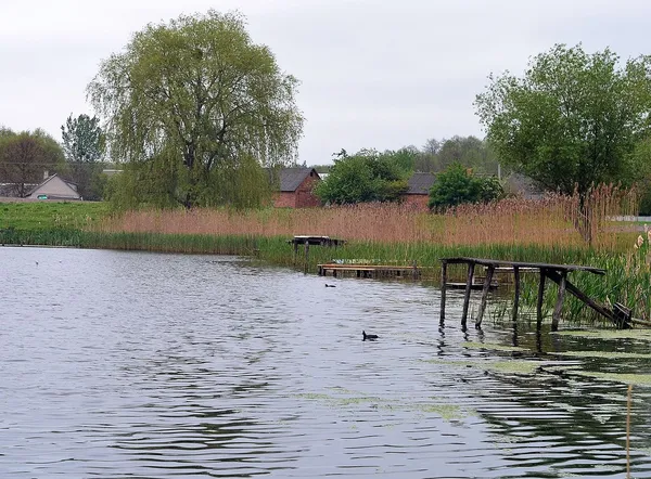 Чиста вода і багато риби: біля Луцька відкрили сезон на популярному озері (фото, відео)