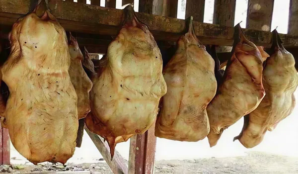 Ферментоване м'ясо акули
