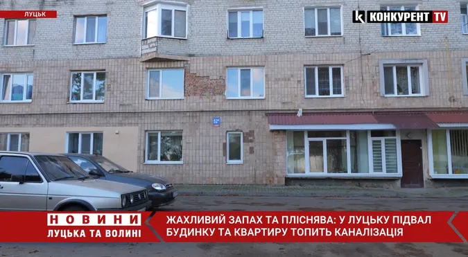 Жахливий запах та пліснява: у Луцьку дощова вода топить квартири та підвал багатоповерхівки (відео)