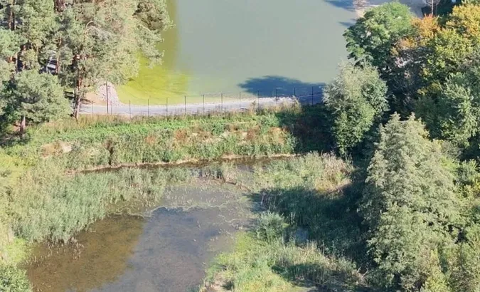 Перегородили річку й обмежили доступ до води: у Луцькому районі виявили незаконну дамбу (фото)