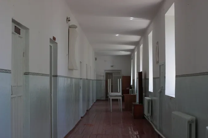 Похмура естетика: як виглядає всередині Олицький замок, в якому була психлікарня (фото)