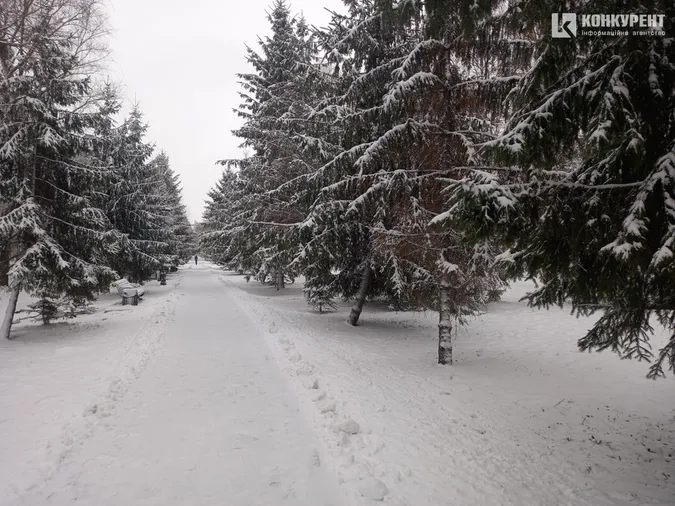 Сніжно і безлюдно: зима у Центральному парку Луцька (фото)