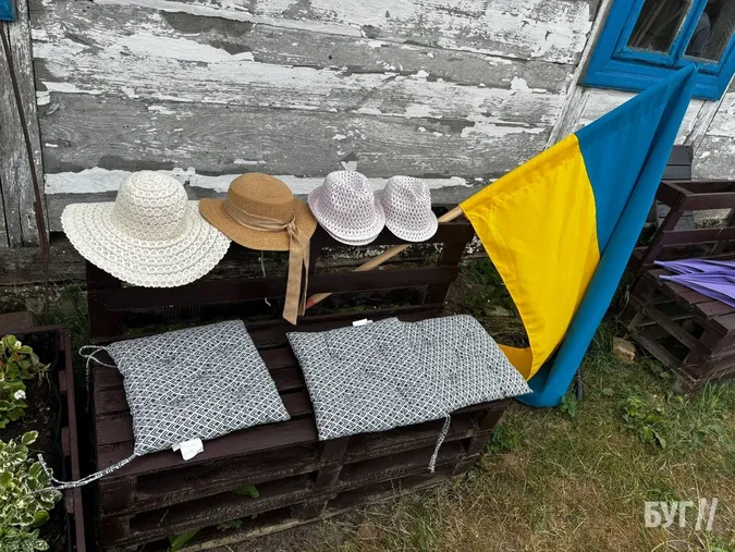 Фіолетове море на Волині: де ще можна встигнути побачити масове цвітіння лаванди