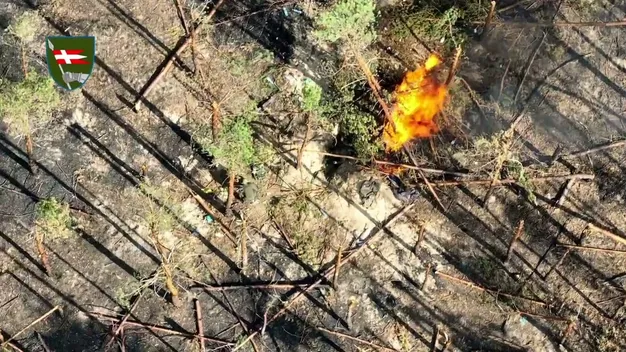 Потужно: воїни 14-ї ОМБр «привітали» окупантів з Днем Конституції України (відео)