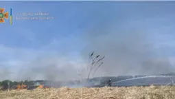 За день – три пожежі: рятувальники закликають волинян не палити траву (фото)