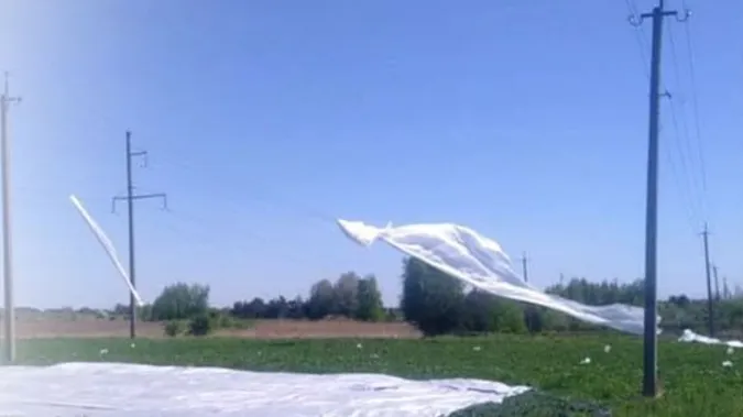 Замкнуло й «вирубило» світло: в Луцькому районі зірване вітром агроволокно занесло на лінію електропередачі