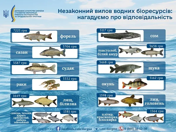 Суми чималенькі: які штрафи за незаконно виловлену рибу