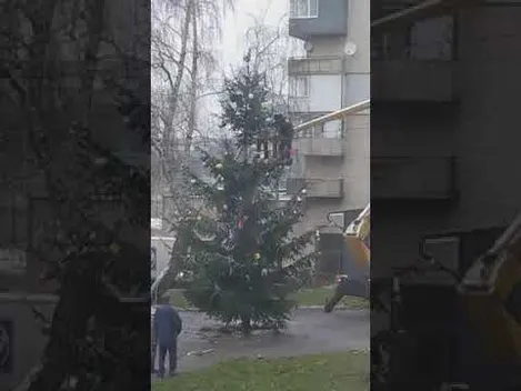Повішені зайці на ялинці з протезом: у Нововолинську «вистраждали» новорічне дерево (фото, відео)