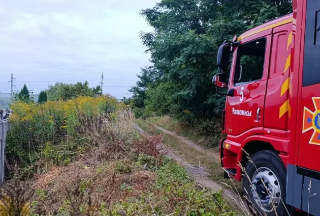 На Волині діти влаштували пожежу біля кладовища (фото)