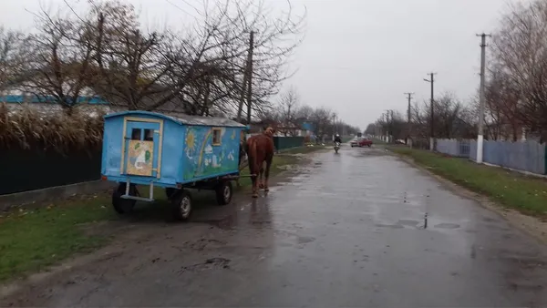 Не машиною або велосипедом: на Рівненщині дітей у садок возять каретою (фото)