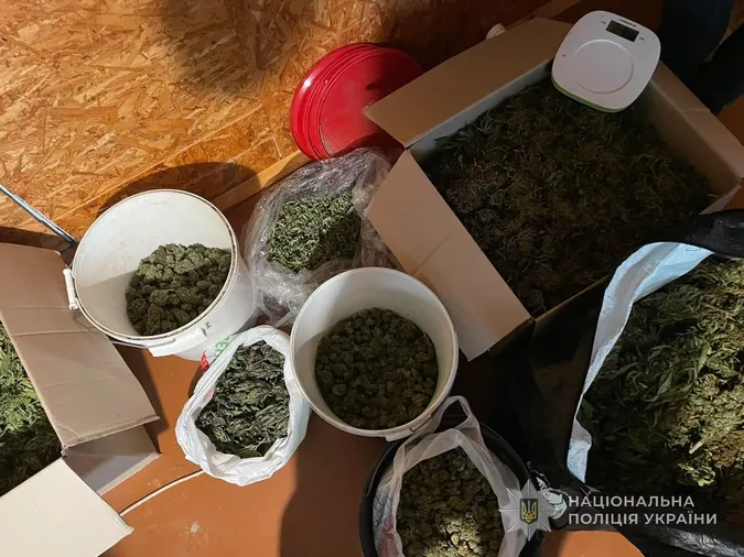 25 кілограмів канабісу та понад 300 конопель: поблизу Луцька викрили наркоторгівців