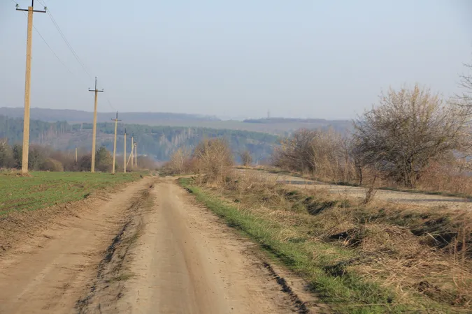 Трагедія на польовій дорозі: в Турійському районі загинув водій