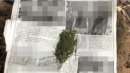 На Волині 57-річний чоловік організував наркобізнес на коноплях (фото)