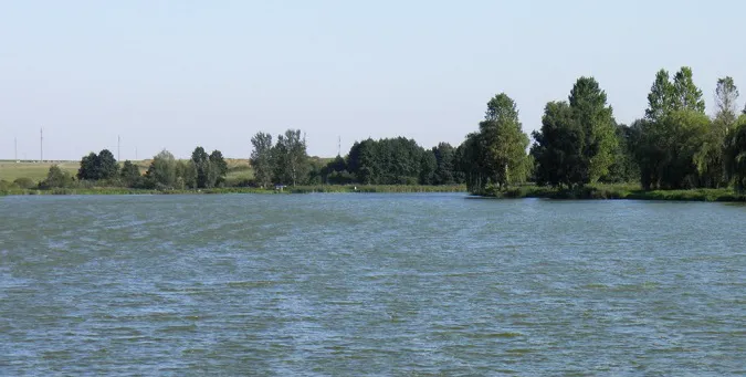 У ставку в Затурцях потонула 11-річна дитина