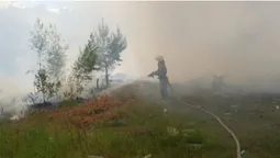 Підпал, дитячі пустощі, необережність: на Волині загасили сім пожеж (фото)