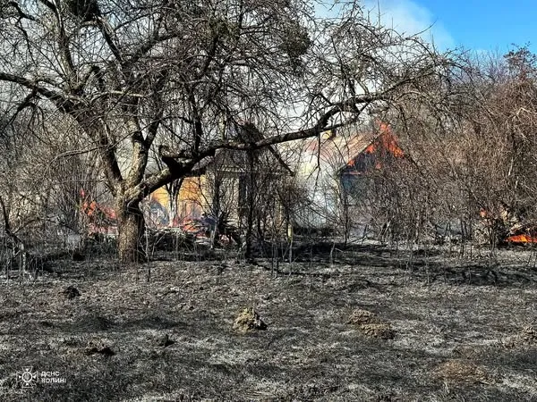 Біля Луцька через підпал сухої трави горіли будинок і сарай (фото)