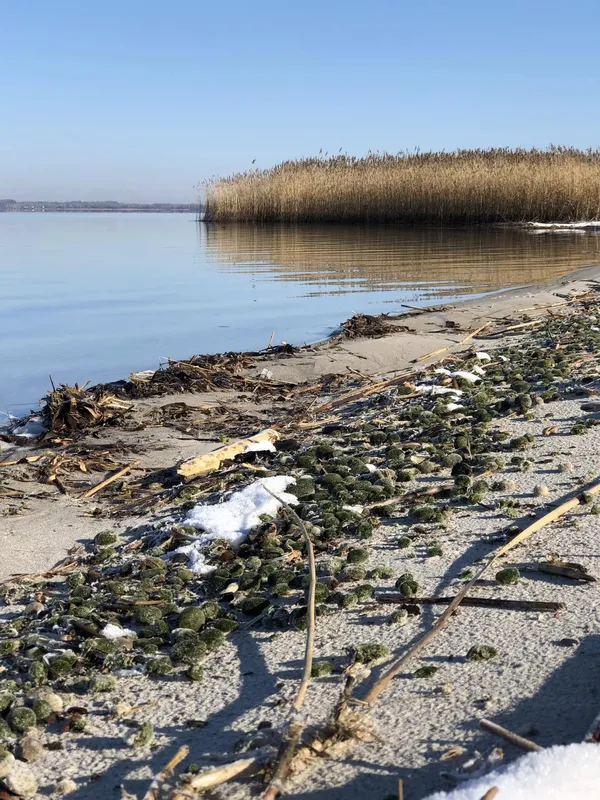Кришталева вода і блакитне небо: на Світязі – рання весна (фото)