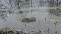 У луцькому парку вандали потопили смітники (фото)