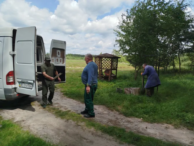Де неподалік Луцька можна погуляти незайманим столітнім лісом (фото)