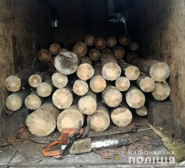 На пилорамі у Ковельському районі знайшли майже 50 колод сосни без документів (фото)