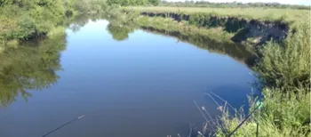 Ловиться і щука, і карась: біля Луцька є безкоштовна спокійна локація на Стиру для рибалок