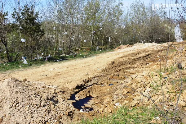 Брищенський полігон: як гниє луцький непотріб та чому екологи обурені (ФОТО)
