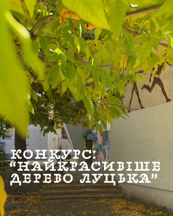🍂 У Луцьку оберуть найгарніше дерево