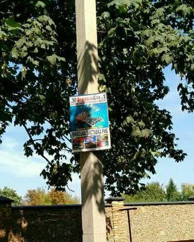 У Луцьку підприємця оштрафують за рекламу на стовпах (фото)