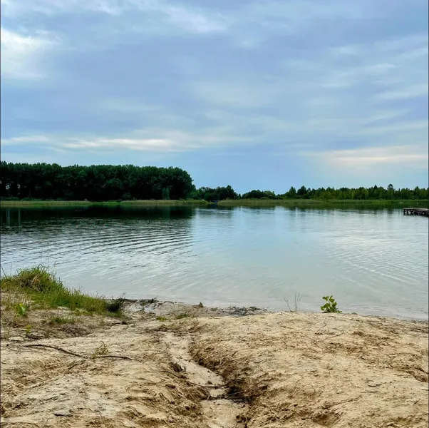 Море риби: показали краєвиди озера на Волині (фото)