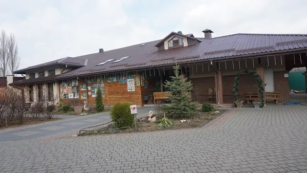 Він помер у кінці лютого: історія лева Ніка із Луцького зоопарку (фото)