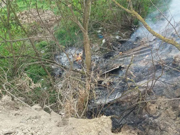 У Луцьку через підпал сміття зайнялися дерева та кущі (фото)