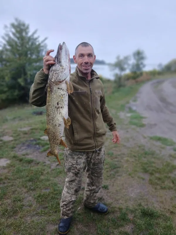 Біля Луцька впіймали величезну щуку: за скільки продають хижого монстра (фото)
